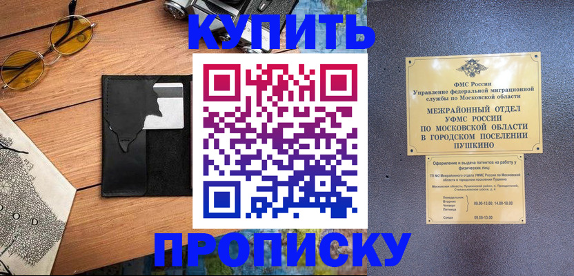 временная регистрация в Шагонаре